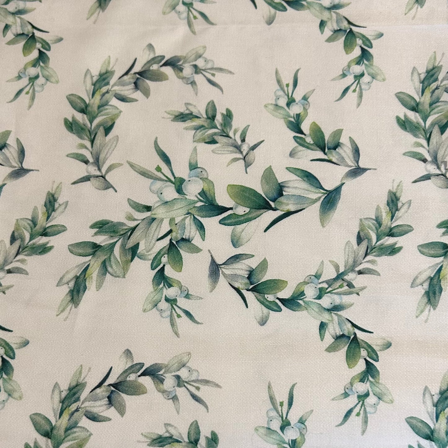 Olive Branch